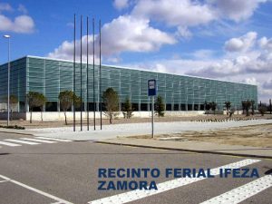 trabajo gestión electrónica